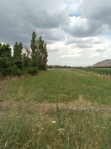 прадаю дом сокулукски село гавриловка срочна: 96 соток, Для сельского хозяйства, Договор купли-продажи