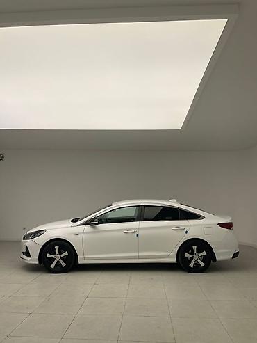 byd yan plus: Hyundai Sonata: 2019 г., Седан — 2