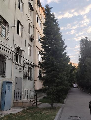 evler bine: Bakı, 3 otaqlı, Köhnə tikili, 45 kv. m — 1