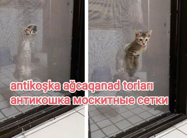 Jalüzlər: Jaluz-ağcaqanad torlari plastik qapı və pəncərə üçün, müxtəlif növləri — 10