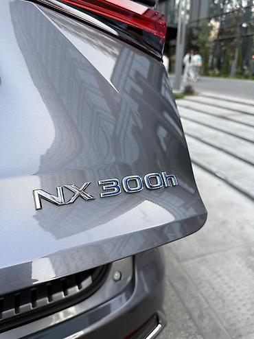 Lexus: Lexus NX: 2020 г., 2.5 л, Вариатор, Гибрид, Кроссовер — 21