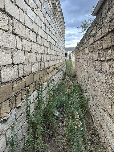 bagca satilir: 6 sot, Tikinti, Kupça (Çıxarış) — 8