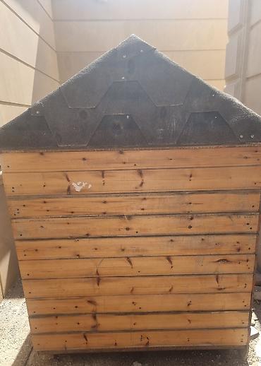 Taxta it evi - Material: təbii taxta panellər, möhkəm karkas - Dam