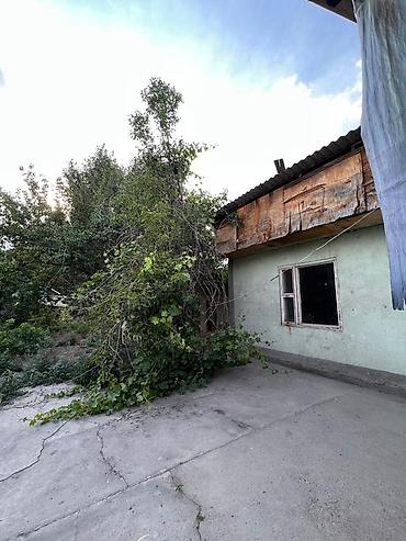 Продажа коттеджей и домов: Жилой дом с приусадебным участком. 4-х комнатный дом, долгосрочная — 16