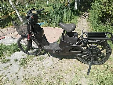 Ostali motocikli i skuteri: Električni skuter – kargo/utility tip - Boja: crna, niskog rama za — 6