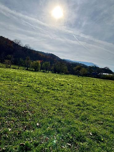 Torpaq sahələrinin satışı: 18 sot, Kənd təsərrüfatı, Kupça (Çıxarış) — 6