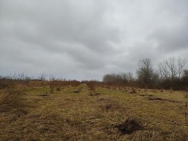 Torpaq sahələrinin satışı: Kənd təsərrüfatı -da lalafo.az — 4 Torpaq sahələrinin satışı: Kənd təsərrüfatı — 4