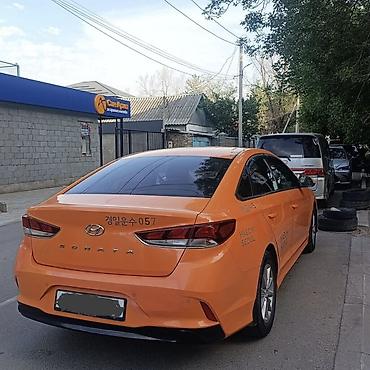 электра машына: Hyundai Sonata: 2019 г., 2 л, Автомат, Бензин, Седан — 5