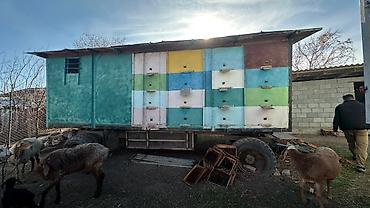 Другое сельско-хозяйственное оборудование: Передвижная пчеловодческая платформа (прицеп‑павильон) - под готовый — 3