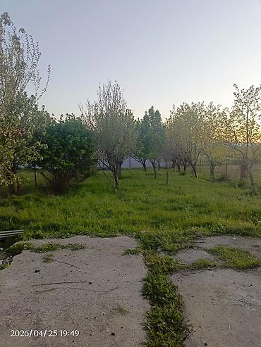 yaşma torpaq satilir: Tecili satilir qiymet razilasma yolu ile — 9