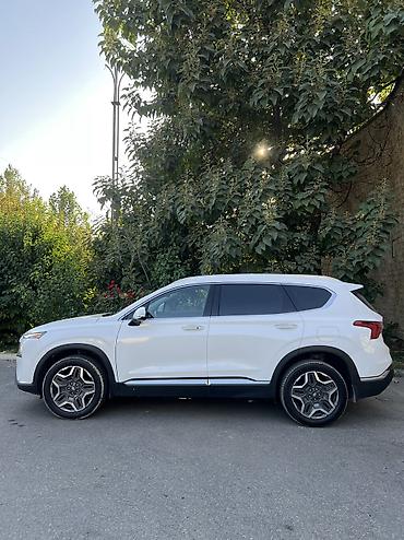 2107 панел: Hyundai Santa Fe: 2021 г., 1.6 л, Электромобиль, Внедорожник — 2