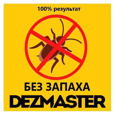 Дезинфекция, дезинсекция: ОсОО "ДЕЗМАСТЕР" . Производим качественную обработку против тараканов