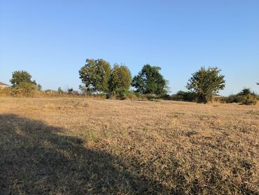 Torpaq sahələrinin satışı: 21 sot, Tikinti, Mülkiyyətçi, Kupça (Çıxarış) — 5