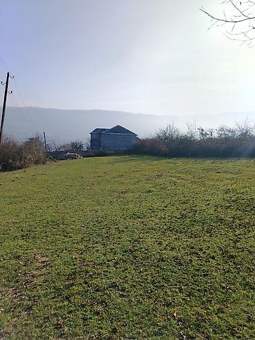 goranboy torpaq: 14 sot, Tikinti, Mülkiyyətçi, Kupça (Çıxarış) — 2