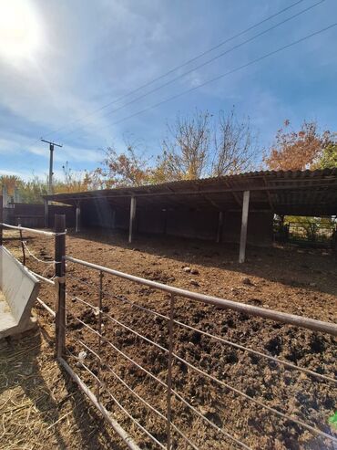 Продажа участков: 44 соток, Красная книга — 8