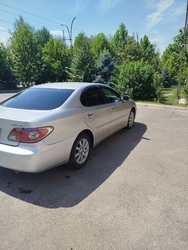 зеркало на виндом: Toyota Windom: 2003 г., 3 л, Автомат, Бензин, Седан