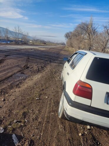 ауди 100 с: Volkswagen Golf: 1993 г., 1.8 л, Механика, Бензин