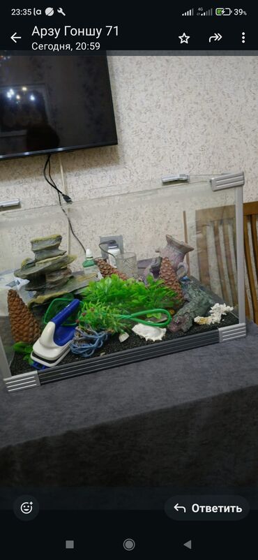 naxcivan heyvan elanlari: Dördbucaq akvarium, Boş, 42 l, Ünvandan götürmə