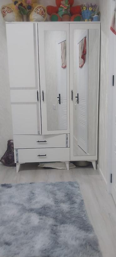 ayna qapi: Yeni, 3 qapılı, Ağ, Açılan, Düz dolab — 3