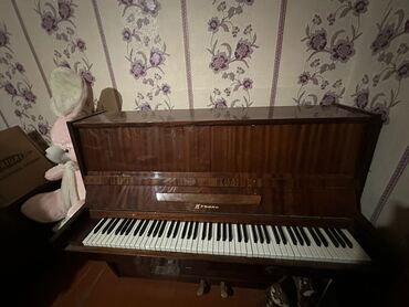 korg pa 700 qiymeti: Piano, Avanti, Akustik, İşlənmiş