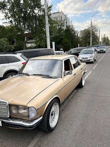 grandeur hg: Mercedes-Benz W123: 1981 г., 2.8 л, Механика, Бензин, Седан — 3