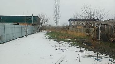 Продажа коттеджей и домов: Дом с двором и хозяйственными постройками - Отдельно стоящий — 6