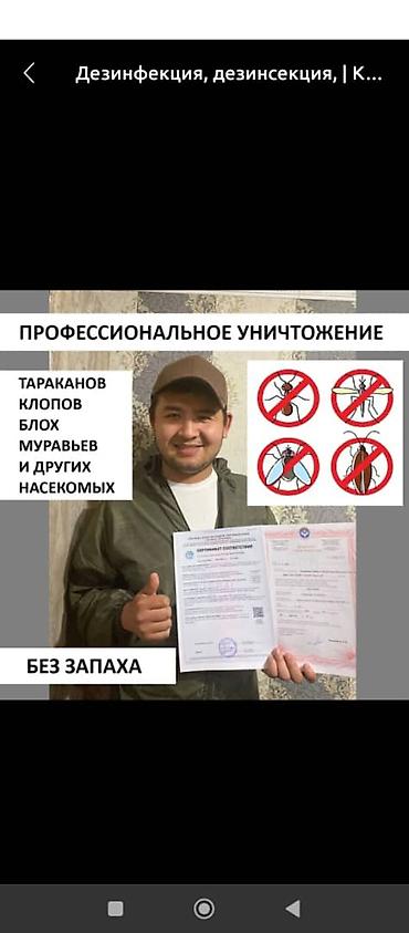 плиточные работы бишкек: Дезинфекция, дезинсекция, | Муравьи, | Квартиры — 4