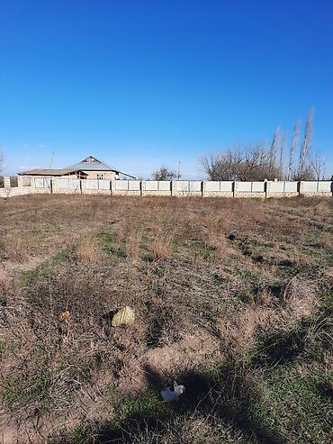 gen: 10 sot, Tikinti, Mülkiyyətçi, Kupça (Çıxarış) — 6