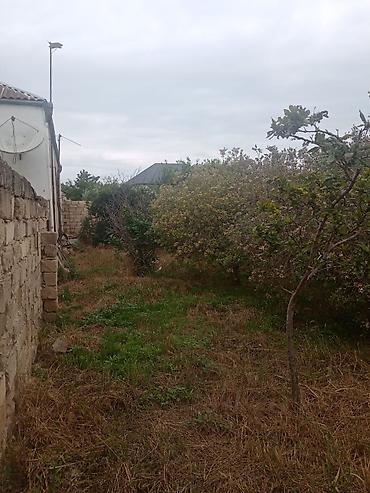 afrem evler: 4 otaqlı, 146 kv. m — 10