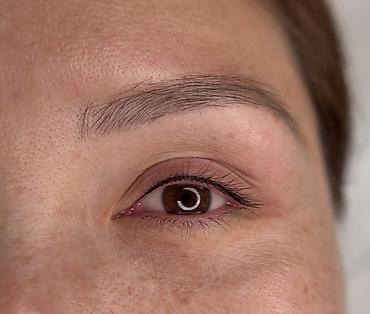 Перманентный макияж: Профессиональный перманентный макияж бровей (пудровое/теневое — 11