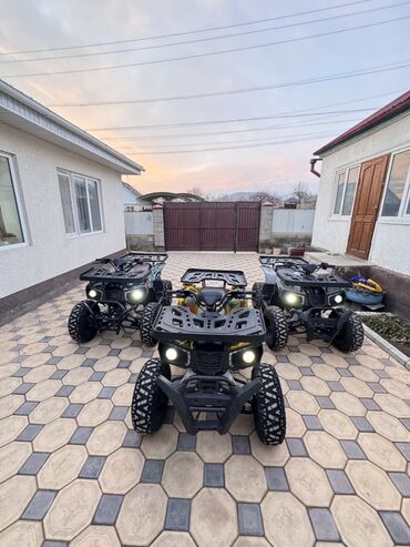 Квадроциклы: Квадроцикл Бензин, 250 куб. см, Взрослый — 3