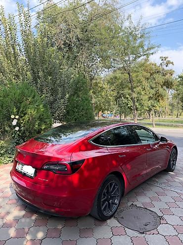 автомобили: Tesla Model 3: 2020 г., Электромобиль, Седан — 4