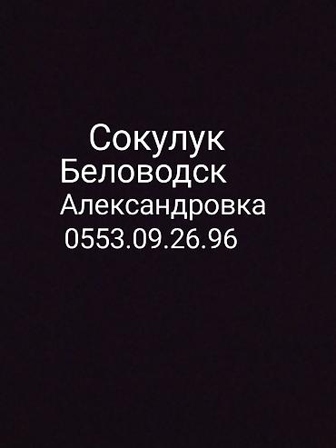 трекер авто: Штукатурка стен Больше 6 лет опыта — 1