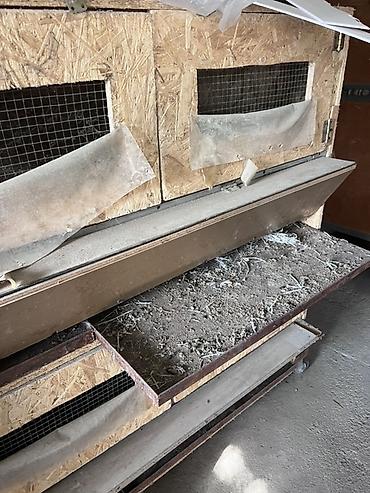 Kənd təssərüfatı avadanlığı: Quşçuluq avadanlıqları paketi 1056yumurtalıq inkibator xüsusi — 4