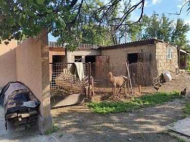 вагон нарын: Срочно Срочно Срочно Продается дом29 соток есть также времянка — 3