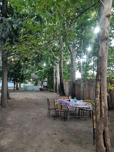 restoran hostes vakansiya: Nərgiz kafesine ofsiyant xanım teleb olnur maaş 30 azn +yimək çayavoy — 5