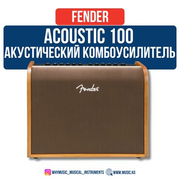 Динамики и колонки: Акустический комбоусилитель Fender Acoustic 100 Идеальный усилитель