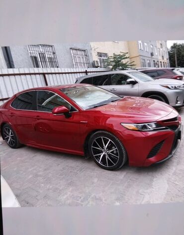 камри се: Toyota Camry: 2019 г., 2.5 л, Автоматические, Гибрид, Седан