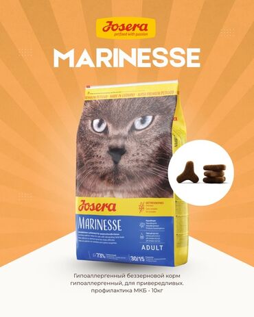 разные породы кошек: Сухой корм для взрослых кошек Josera Marinesse, 10 кг. -