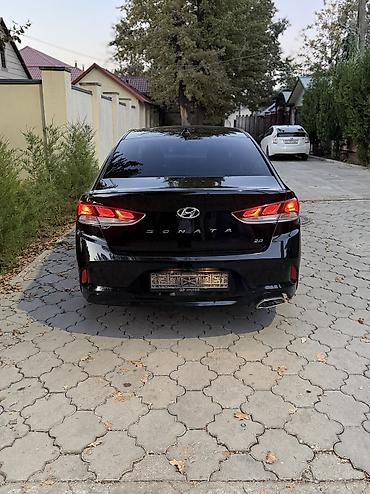 sonata 2012: Hyundai Sonata: 2019 г., 2 л, Автомат, Бензин, Седан — 6