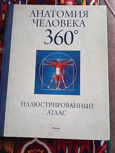 3d модель: Анатомия человека 360°. Полный 3D‑справочник Большой иллюстрированный — 6
