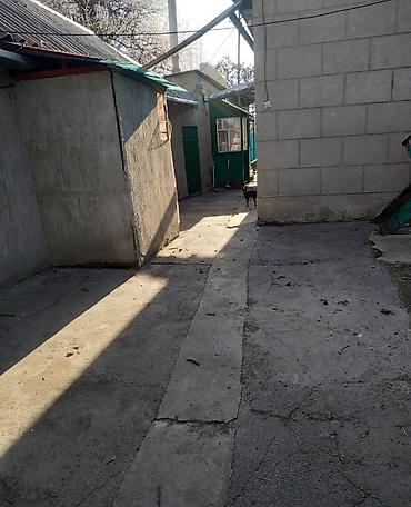 Продажа коттеджей и домов: 📍с.Маевка 🔘4-комнаты 🔘49,5м² Продаю четырехкомнатный дом. В селе — 16