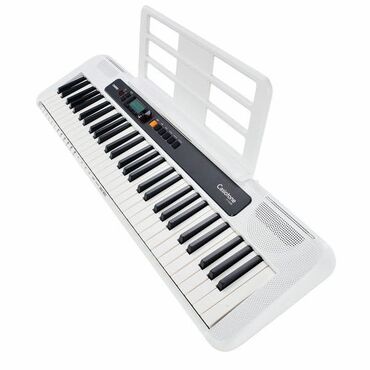 Midi-klaviaturalar: Sintezator, Casio, Yeni