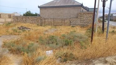 Torpaq sahələrinin satışı: 5 sot, Tikinti, Mülkiyyətçi, Kupça (Çıxarış) -da lalafo.az — 10 Torpaq sahələrinin satışı: 5 sot, Tikinti, Mülkiyyətçi, Kupça (Çıxarış) — 10