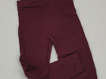 kolorowe legginsy dla dzieci: Legginsy dziecięce, 5-6 lat, 110/116, stan - Bardzo dobry