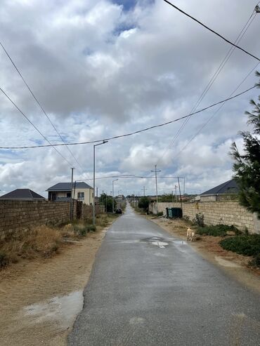 Torpaq sahələrinin satışı: 3 sot, Tikinti, Maklerlər narahat etməsin, Kupça (Çıxarış), Texniki pasport -da lalafo.az — 2 Torpaq sahələrinin satışı: 3 sot, Tikinti, Maklerlər narahat etməsin, Kupça (Çıxarış), Texniki pasport — 2