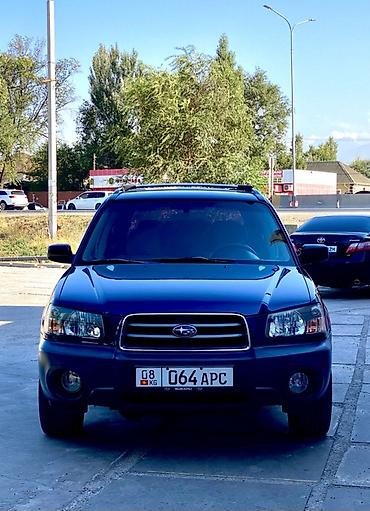 субару бажа: Subaru Forester: 2004 г., 2.5 л, Автомат, Бензин, Универсал — 7