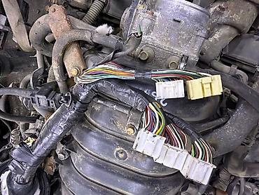 4runner: Проводка двигателя (жгут ДВС) Toyota 4Runner GRN215L, двигатель — 3