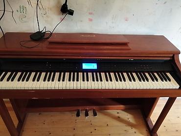 Клавишные инструменты: Steinbach rəqəmsal piano – klassik mebel korpusu ilə - Marka/model — 7