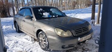 Hyundai: Hyundai Sonata: 2004 г., 2 л, Механика, Газ, Седан